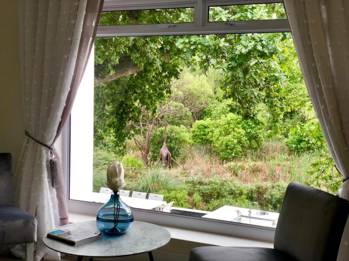 Badgemore Villa Guesthouse Fokváros Kültér fotó